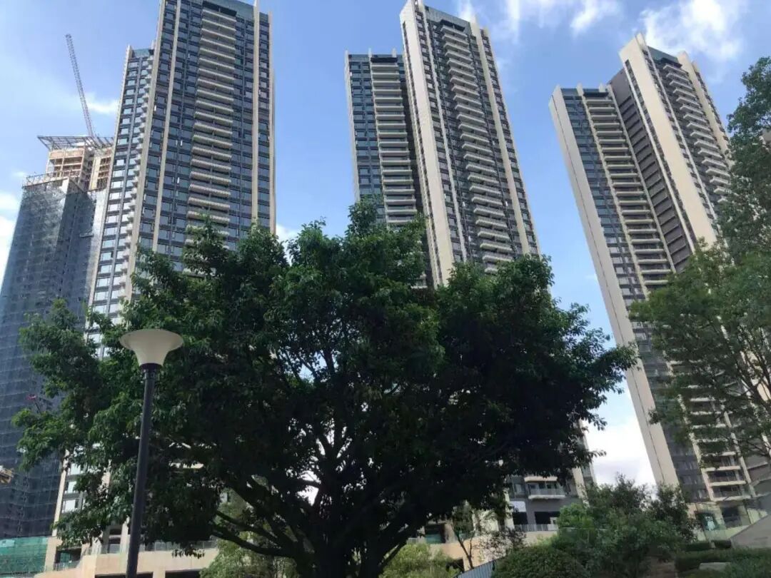 一线城市豪宅热销 专家：楼市企稳基础仍需夯实