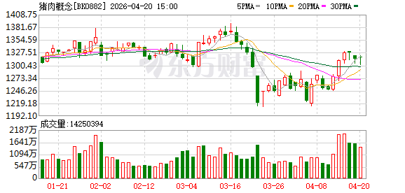 全线飘红 多地价格突破10元 猪市风向变了