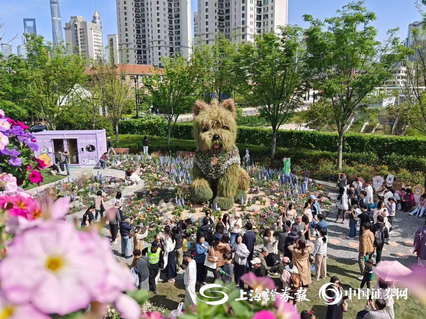 上海：以花为媒，助燃消费
