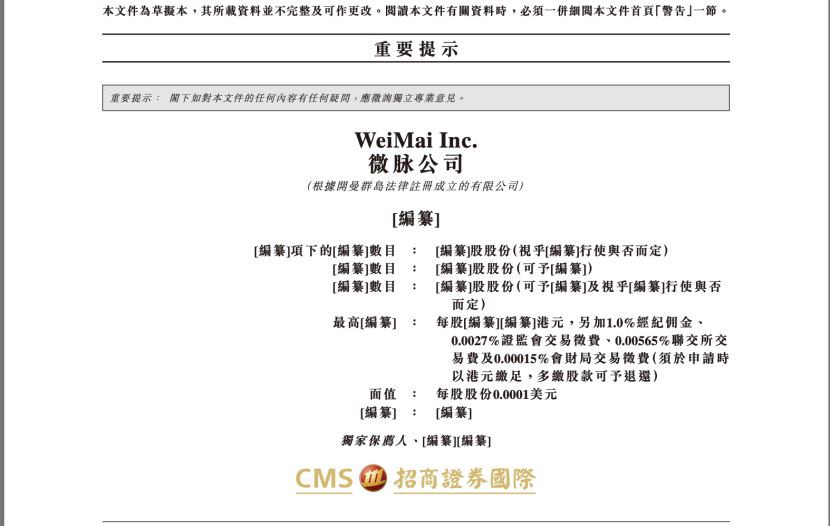 微脉二次递表，细分领域第一的AI含量几何？