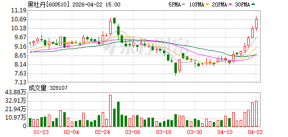 黑牡丹拟申请注册发行中期票据 规模不超过20亿元