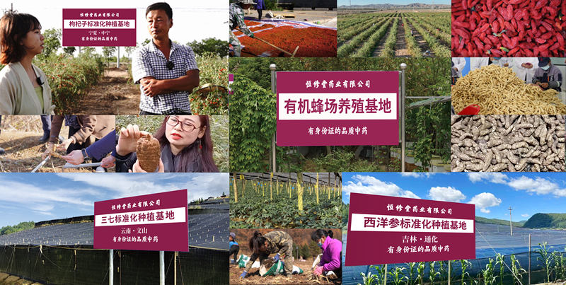 规范升级浪潮下，中药饮片行业如何破解发展痛点？