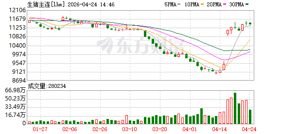 生猪期货8个交易日暴涨12％！突传企稳信号 猪价要翻身？