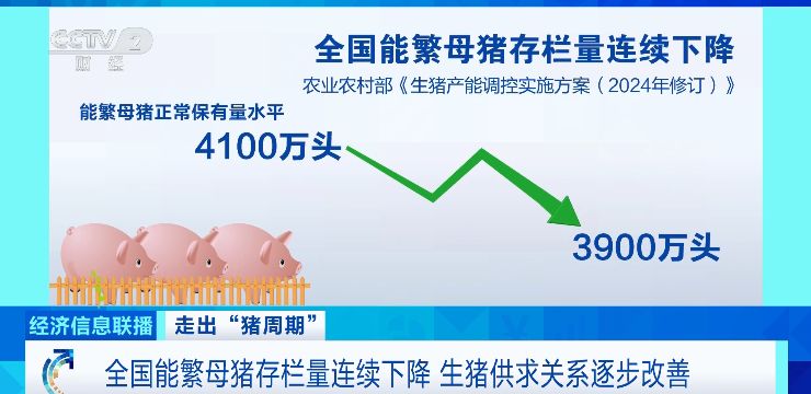 全国能繁母猪存栏量连续下降 生猪供求关系逐步改善