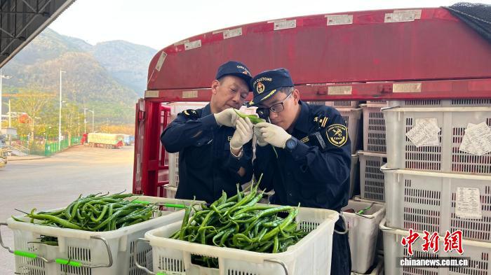 清水河口岸一季度进出口货值同比增长131.6%