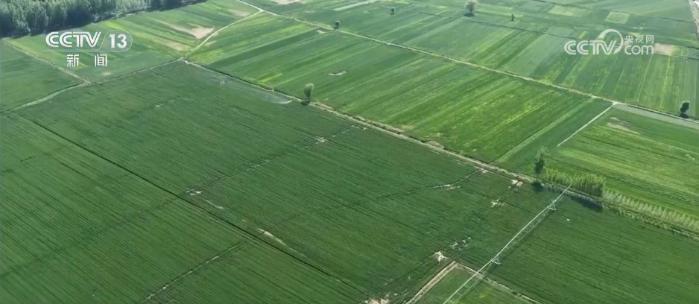 智能农机成为田间地头“新农具” 硬核科技落地田间让农耕生产更高效