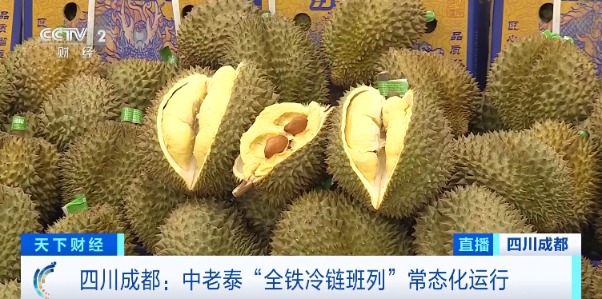 价格大降超三成！2万吨榴莲，来了→