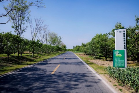 一条路改变一座城，河南商丘织密农村公路“幸福网”