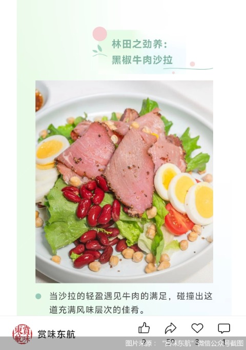 成本项变收入项，航司付费餐食的“生意经”与“两难局”